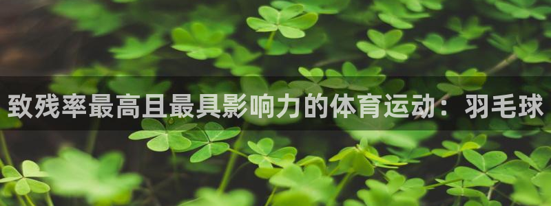 betway西汉姆：致残率最高且最具影响力的体育运动：羽毛球