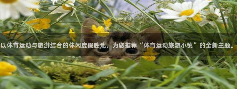 betway西汉姆官网：以体育运动与旅游结合的休闲度假胜地，为您推荐“体育运动旅游小镇”的全新主题。