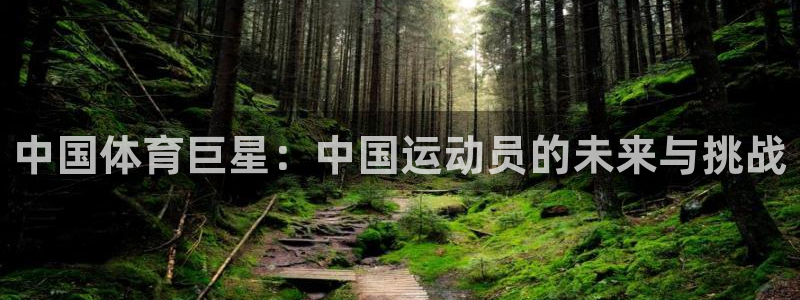 betway西汉姆：中国体育巨星：中国运动员的未来与挑战