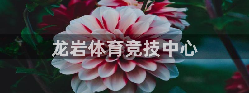 必威betway西汉姆联：龙岩体育竞技中心