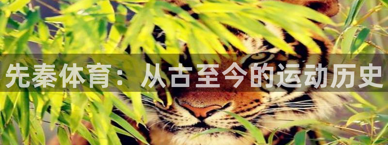 必威betway西汉姆联：先秦体育：从古至今的运动历史