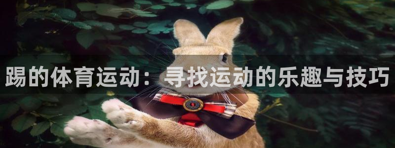 betway西汉姆联：踢的体育运动：寻找运动的乐趣与技巧